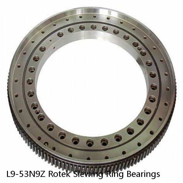 L9-53N9Z Rotek Slewing Ring Bearings