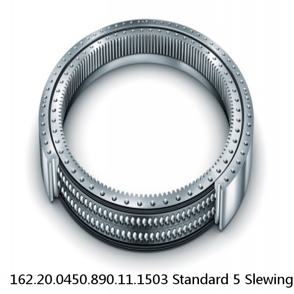 162.20.0450.890.11.1503 Standard 5 Slewing Ring Bearings