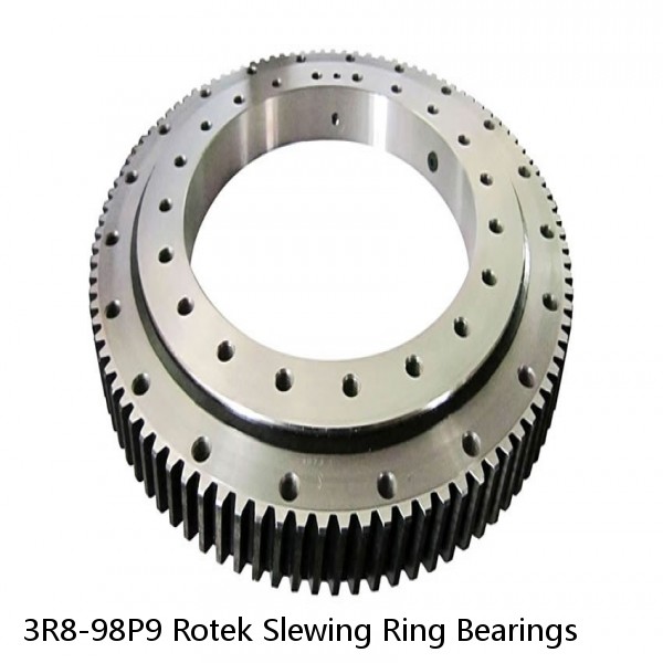 3R8-98P9 Rotek Slewing Ring Bearings