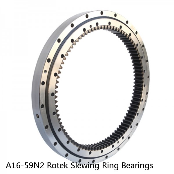 A16-59N2 Rotek Slewing Ring Bearings