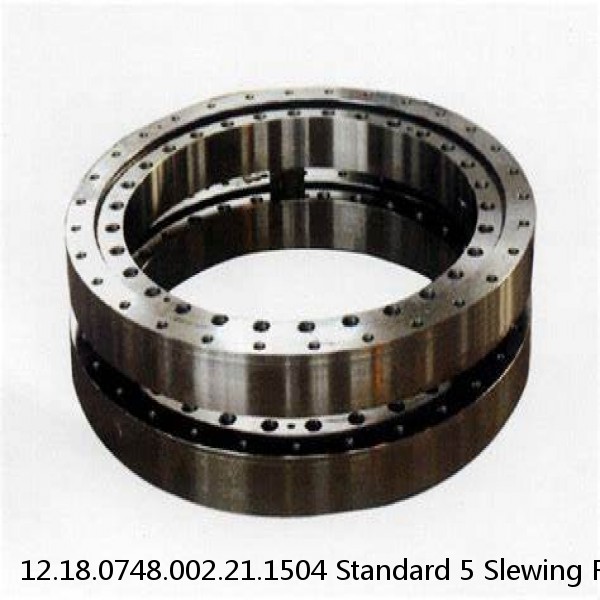 12.18.0748.002.21.1504 Standard 5 Slewing Ring Bearings