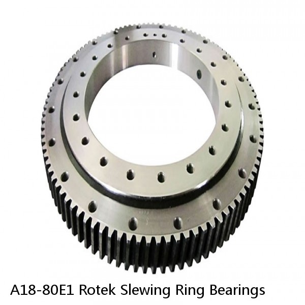 A18-80E1 Rotek Slewing Ring Bearings