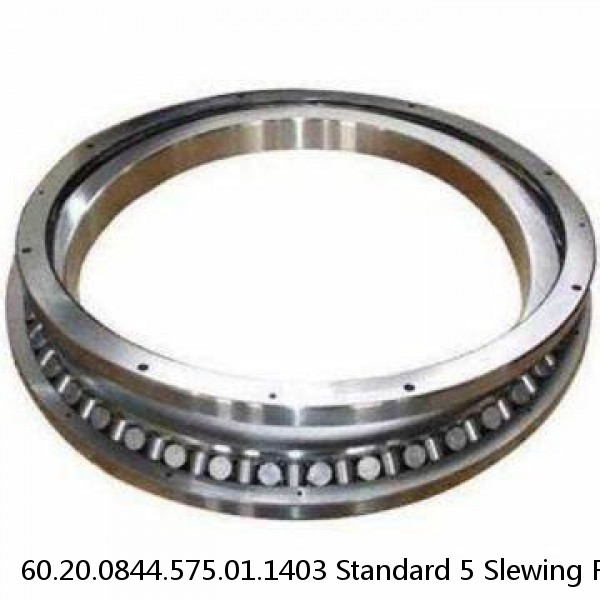 60.20.0844.575.01.1403 Standard 5 Slewing Ring Bearings