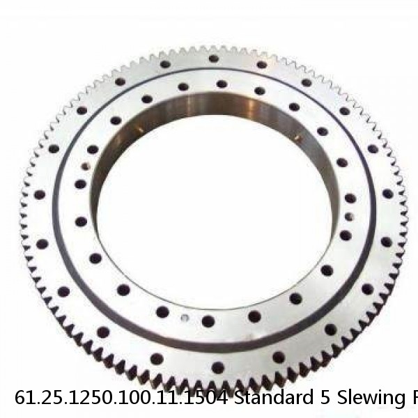 61.25.1250.100.11.1504 Standard 5 Slewing Ring Bearings