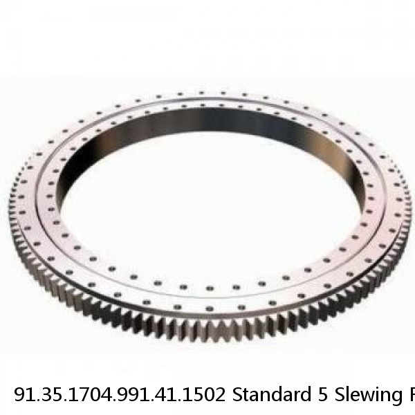 91.35.1704.991.41.1502 Standard 5 Slewing Ring Bearings