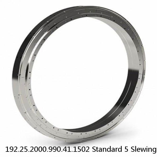 192.25.2000.990.41.1502 Standard 5 Slewing Ring Bearings