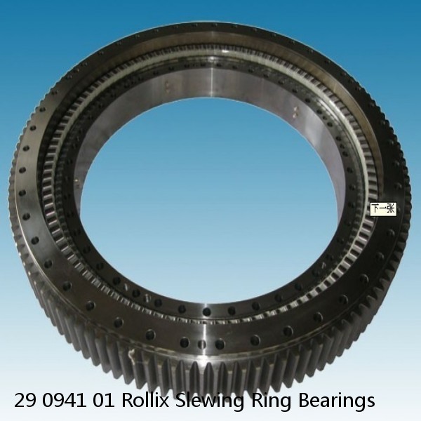 29 0941 01 Rollix Slewing Ring Bearings