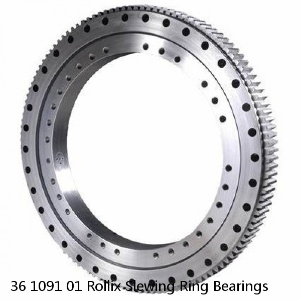 36 1091 01 Rollix Slewing Ring Bearings