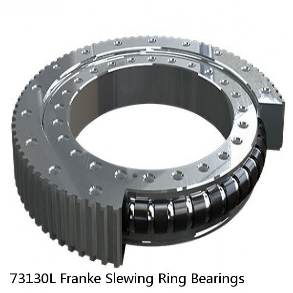 73130L Franke Slewing Ring Bearings