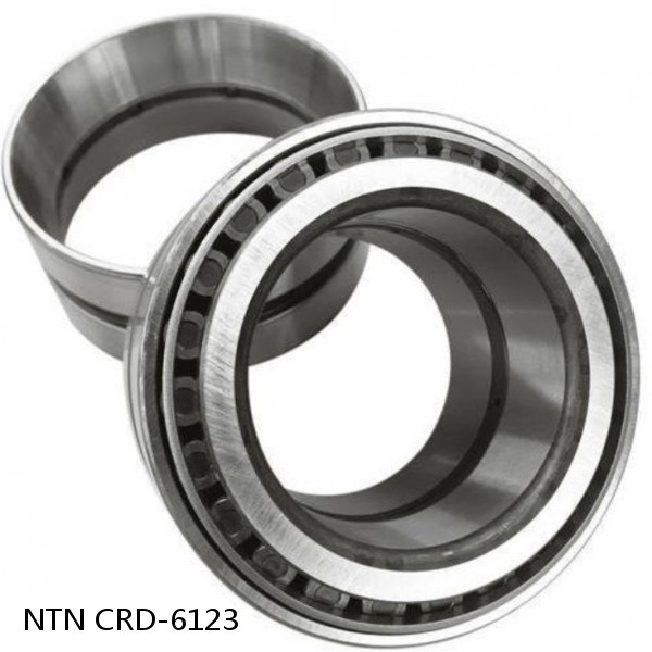 CRD-6123 NTN Cylindrical Roller Bearing