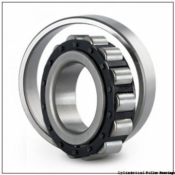 75 mm x 160 mm x 37 mm  NSK NU315 M Cylindrical Roller Bearings