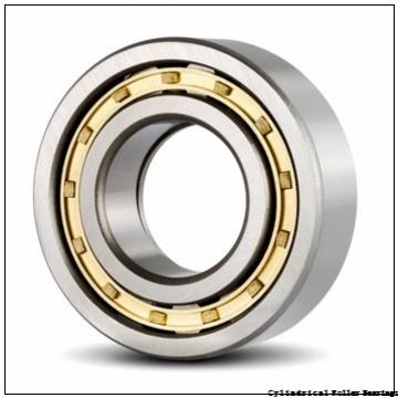 75 mm x 130 mm x 25 mm  NSK NU 215 ET Cylindrical Roller Bearings