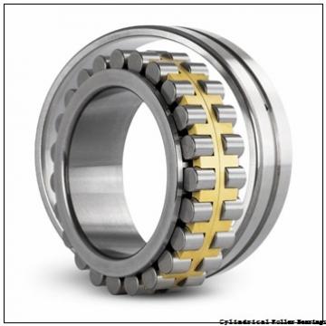 25 mm x 52 mm x 15 mm  NSK NU 205 M Cylindrical Roller Bearings