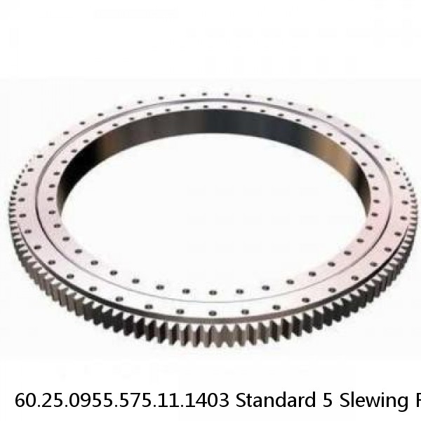 60.25.0955.575.11.1403 Standard 5 Slewing Ring Bearings