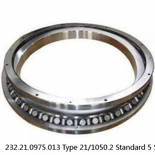 232.21.0975.013 Type 21/1050.2 Standard 5 Slewing Ring Bearings