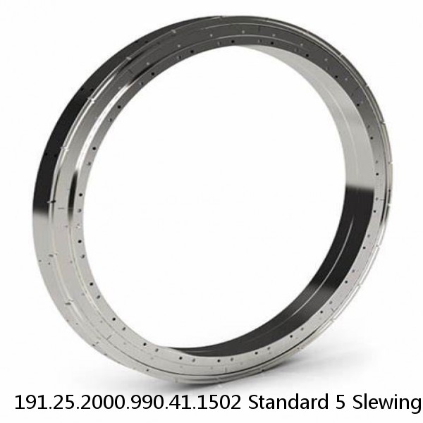 191.25.2000.990.41.1502 Standard 5 Slewing Ring Bearings