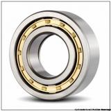 25 mm x 52 mm x 15 mm  NSK NJ 205 W Cylindrical Roller Bearings