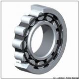 Link-Belt MR5217EX Cylindrical Roller Bearings