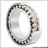 30 mm x 62 mm x 20 mm  NSK NJ 2206 W Cylindrical Roller Bearings